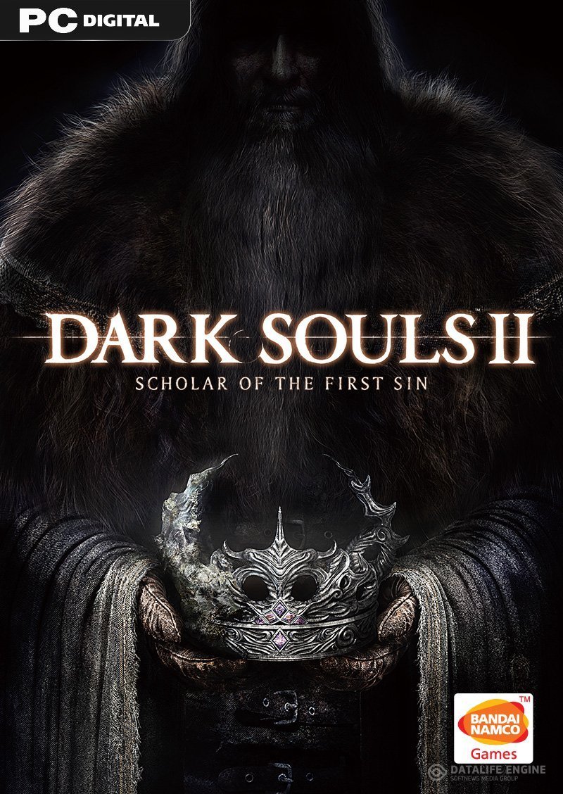 Dark Souls 2 Video Game Poster 