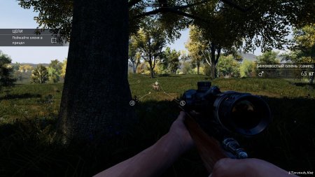 Hunting Simulator | Симулятор Охоты
